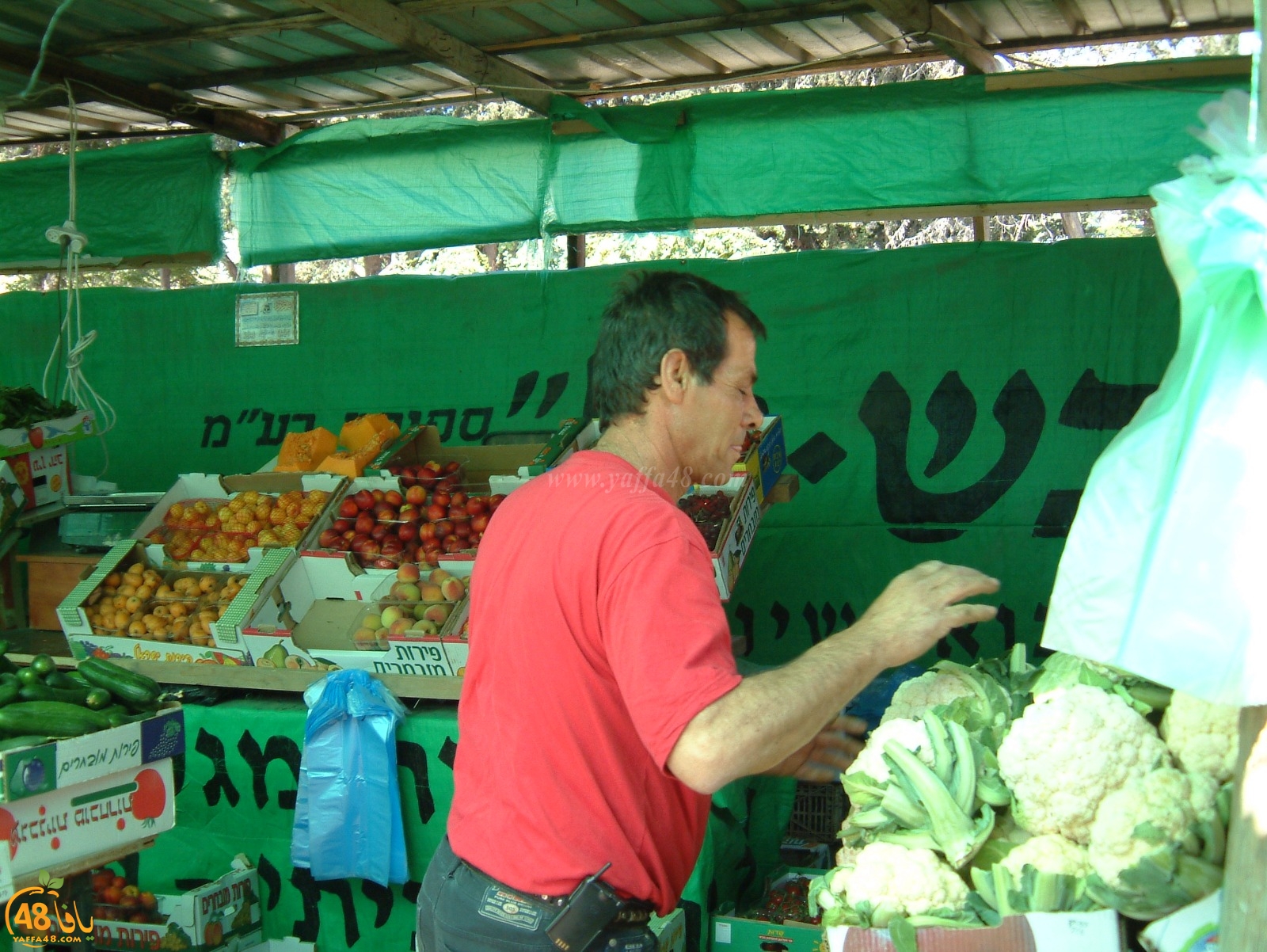 صور من الذاكرة اليافية لسنوات التسعين 